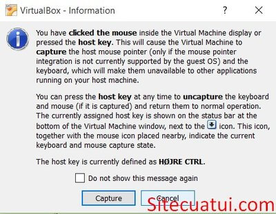 Mouse Integration VirtualBox